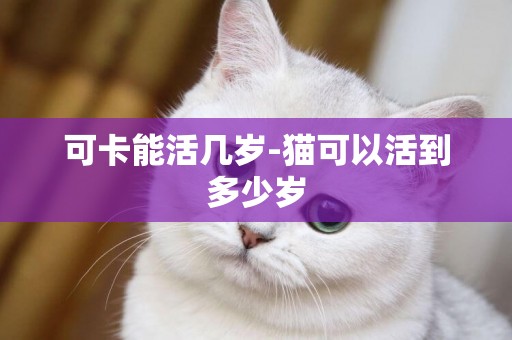 可卡能活幾歲-貓可以活到多少歲