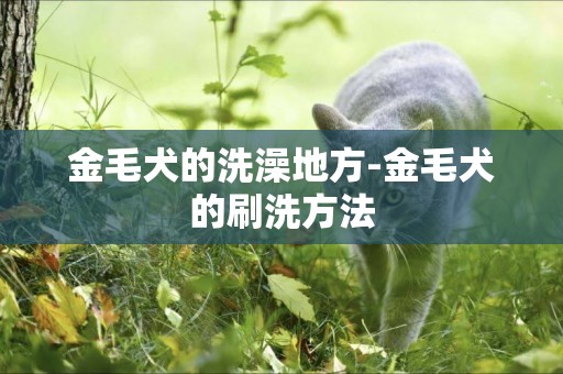 金毛犬的洗澡地方-金毛犬的刷洗方法