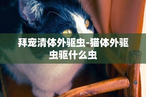 拜寵清體外驅蟲-貓體外驅蟲驅什么蟲