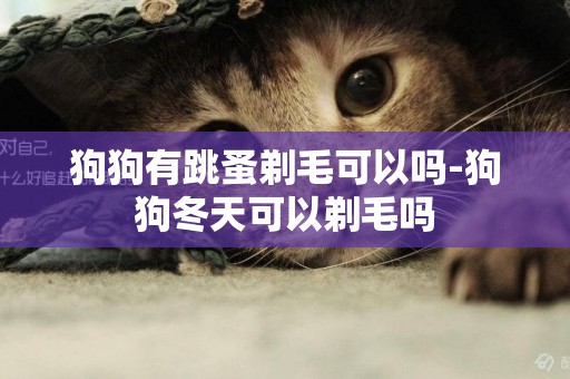 狗狗有跳蚤剃毛可以嗎-狗狗冬天可以剃毛嗎