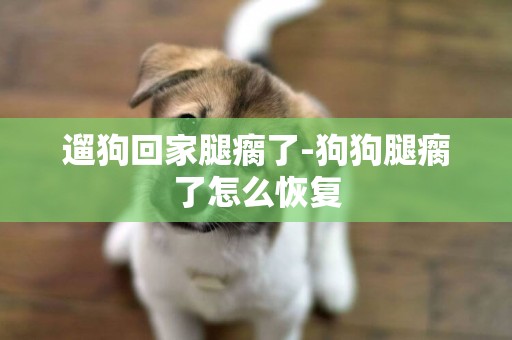 遛狗回家腿瘸了-狗狗腿瘸了怎么恢復