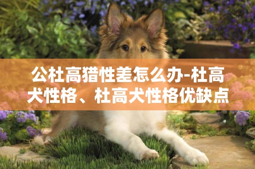 公杜高獵性差怎么辦-杜高犬性格、杜高犬性格優缺點怎么樣