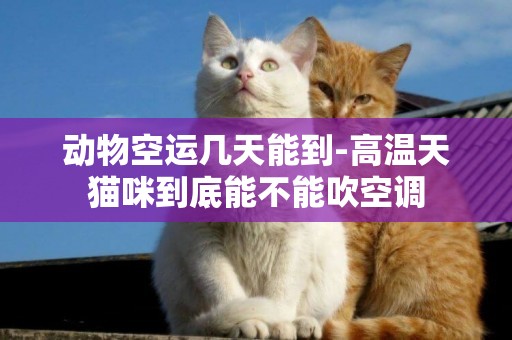 動物空運幾天能到-高溫天貓咪到底能不能吹空調