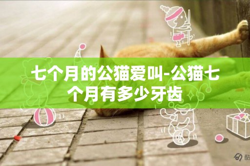 七個月的公貓愛叫-公貓七個月有多少牙齒