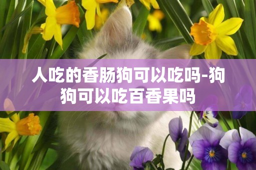 人吃的香腸狗可以吃嗎-狗狗可以吃百香果嗎
