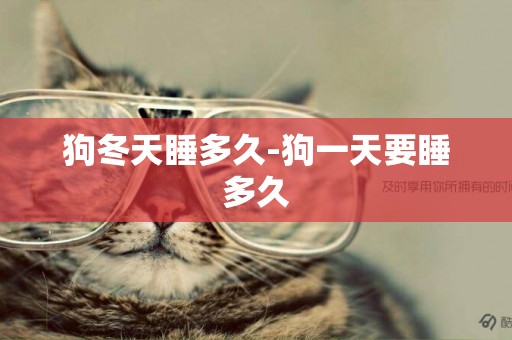狗冬天睡多久-狗一天要睡多久