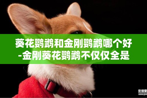 葵花鸚鵡和金剛鸚鵡哪個好-金剛葵花鸚鵡不僅僅全是大型