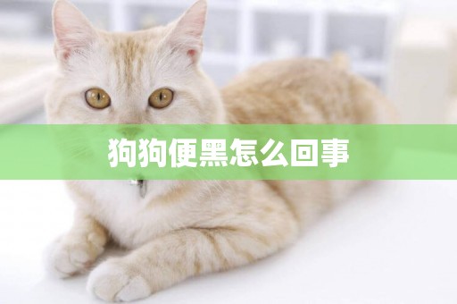 狗狗便黑怎么回事