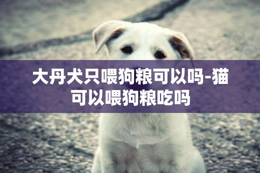 大丹犬只喂狗糧可以嗎-貓可以喂狗糧吃嗎