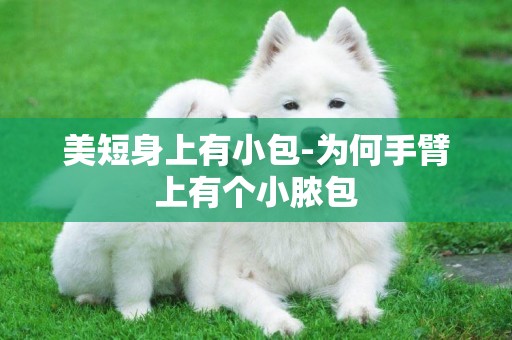 美短身上有小包-為何手臂上有個小膿包
