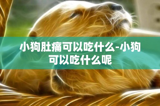 小狗肚痛可以吃什么-小狗可以吃什么呢