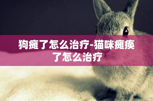 狗癱了怎么治療-貓咪癱瘓了怎么治療
