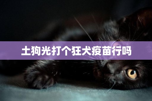 土狗光打個狂犬疫苗行嗎