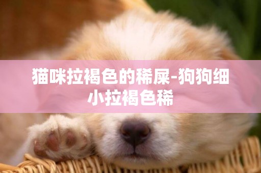 貓咪拉褐色的稀屎-狗狗細小拉褐色稀
