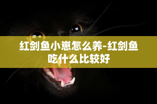 紅劍魚小崽怎么養-紅劍魚吃什么比較好