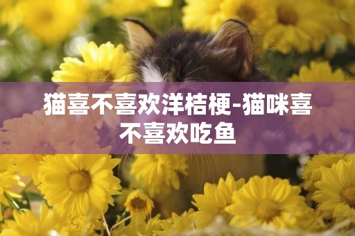 貓喜不喜歡洋桔梗-貓咪喜不喜歡吃魚