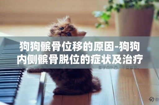 狗狗髕骨位移的原因-狗狗內側髕骨脫位的癥狀及治療
