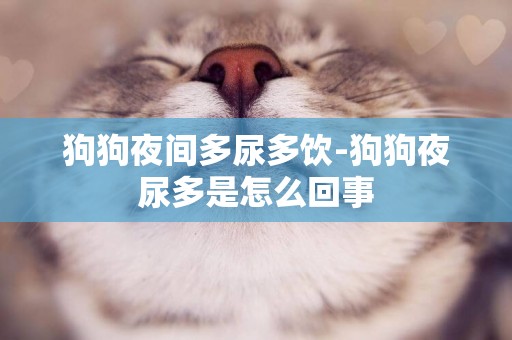 狗狗夜間多尿多飲-狗狗夜尿多是怎么回事
