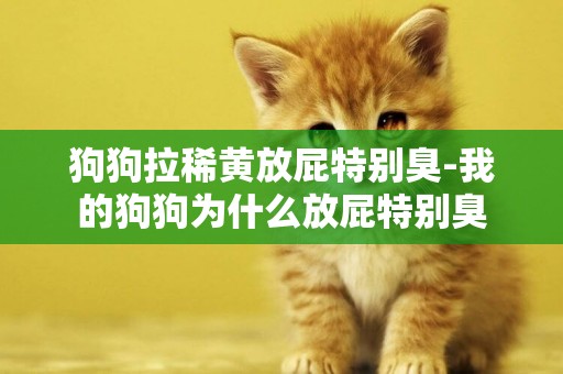 狗狗拉稀黃放屁特別臭-我的狗狗為什么放屁特別臭