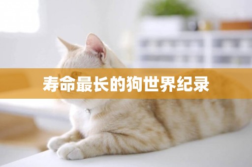 壽命最長的狗世界紀錄