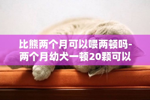 比熊兩個月可以喂兩頓嗎-兩個月幼犬一頓20顆可以嗎