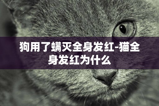 狗用了螨滅全身發紅-貓全身發紅為什么