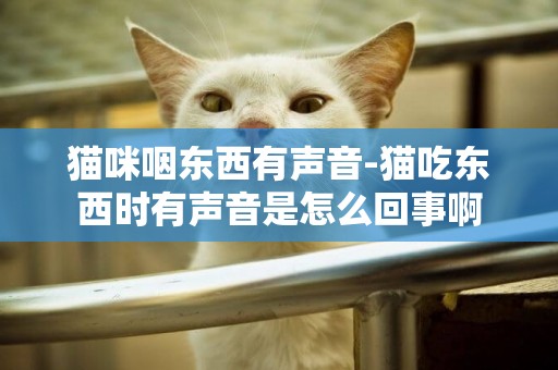 貓咪咽東西有聲音-貓吃東西時有聲音是怎么回事啊