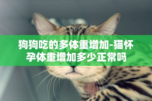 狗狗吃的多體重增加-貓懷孕體重增加多少正常嗎