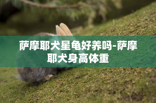 薩摩耶犬星龜好養嗎-薩摩耶犬身高體重