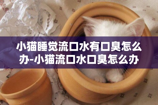 小貓睡覺流口水有口臭怎么辦-小貓流口水口臭怎么辦