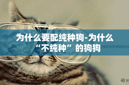 為什么要配純種狗-為什么“不純種”的狗狗