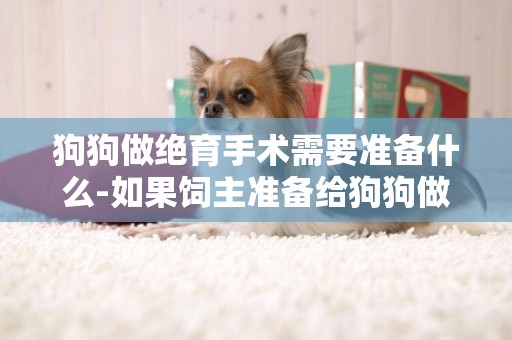狗狗做絕育手術需要準備什么-如果飼主準備給狗狗做絕育手術