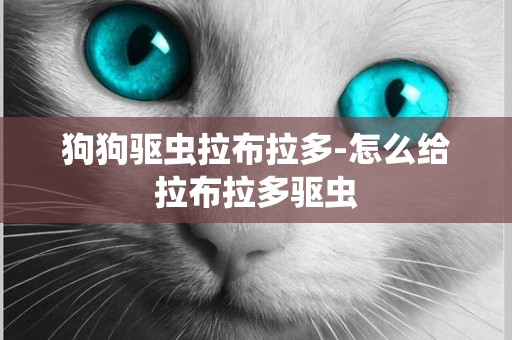 狗狗驅蟲拉布拉多-怎么給拉布拉多驅蟲