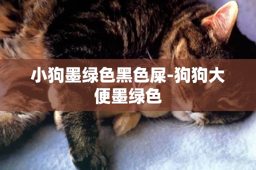 小狗墨綠色黑色屎-狗狗大便墨綠色