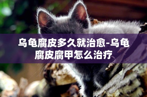 烏龜腐皮多久就治愈-烏龜腐皮腐甲怎么治療