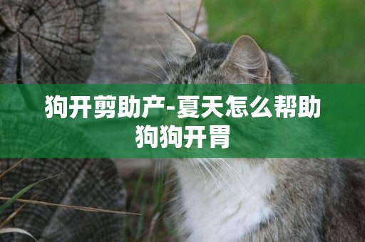 狗開剪助產-夏天怎么幫助狗狗開胃