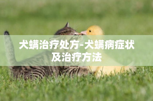 犬螨治療處方-犬螨病癥狀及治療方法
