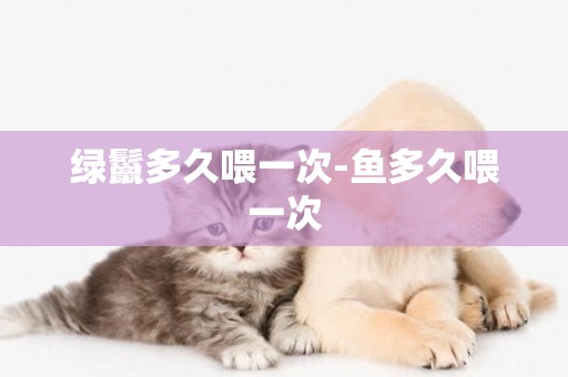 綠鬣多久喂一次-魚多久喂一次