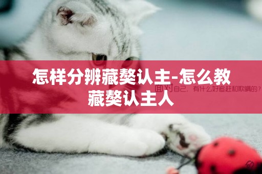 怎樣分辨藏獒認主-怎么教藏獒認主人