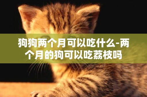 狗狗兩個月可以吃什么-兩個月的狗可以吃荔枝嗎