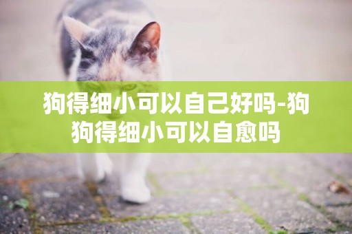狗得細小可以自己好嗎-狗狗得細小可以自愈嗎
