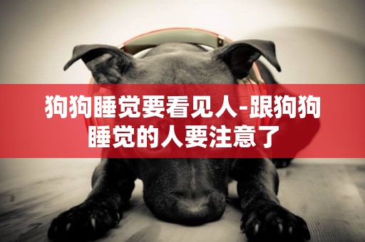 狗狗睡覺要看見人-跟狗狗睡覺的人要注意了