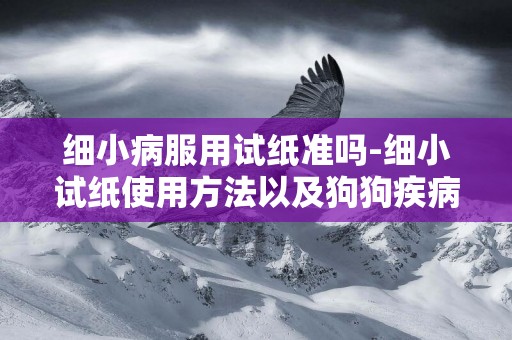 細小病服用試紙準嗎-細小試紙使用方法以及狗狗疾病檢測方法有哪些