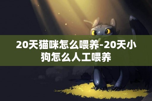 20天貓咪怎么喂養-20天小狗怎么人工喂養