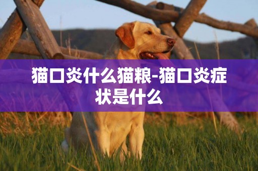 貓口炎什么貓糧-貓口炎癥狀是什么