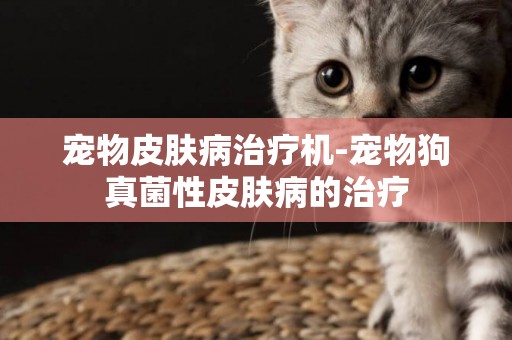 寵物皮膚病治療機-寵物狗真菌性皮膚病的治療