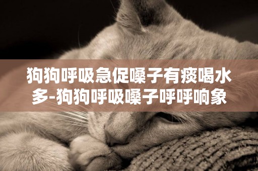 狗狗呼吸急促嗓子有痰喝水多-狗狗呼吸嗓子呼呼響象有痰咳不出來