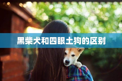 黑柴犬和四眼土狗的區別