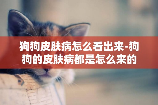 狗狗皮膚病怎么看出來-狗狗的皮膚病都是怎么來的