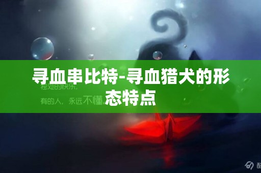 尋血串比特-尋血獵犬的形態特點